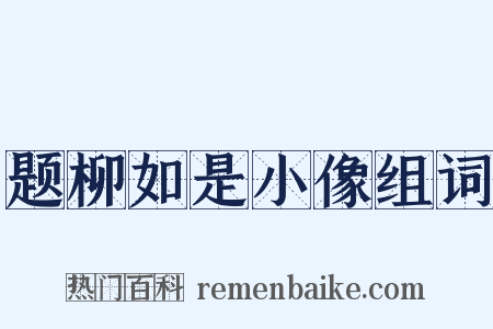 题柳如是小像组词是什么意思的图片